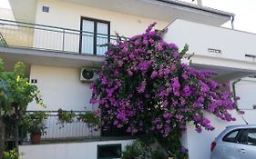 Apartmani Danica